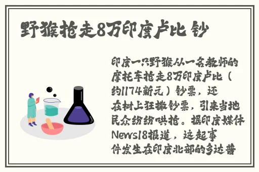 麻豆精品123区